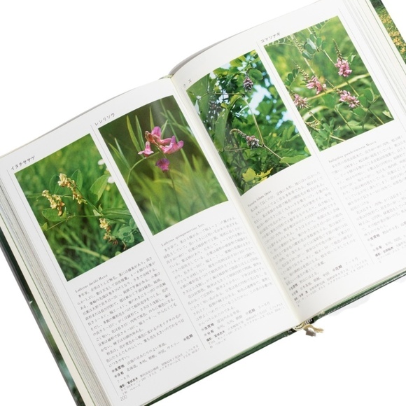 Wildflowers of Japan (Japanese Edition) with Slipcover by Yamakei Color Deluxe c - Picture 6 of 10